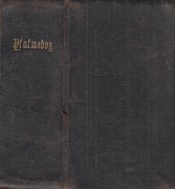 Evangelisk-Luthersk Psalmebog for de dansktalende menigheder i Slesvig (1889)
