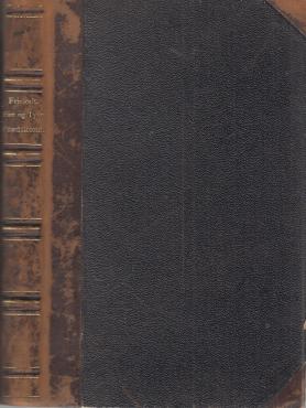 Fire og tyve prædikener (1879) ¤