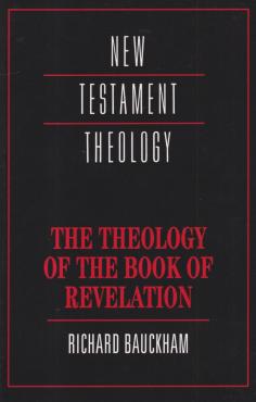 New Testament Theology (ny)