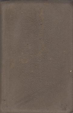 Ny testament af 1907 ruskind ¤