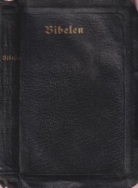 Bibelen eller Den hellige Skrift (1913) ¤