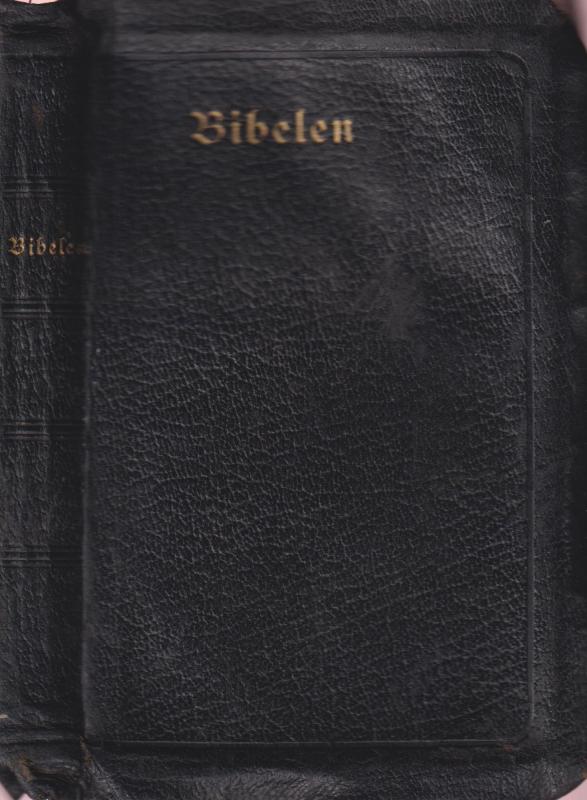 Bibelen eller Den hellige Skrift (1913) ¤