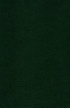 Et sandhedsvidne - om J. P. Mynster, biskop 1834-1854