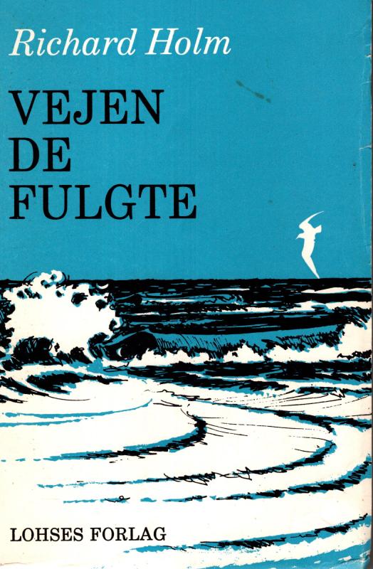 Vejen de fulgte