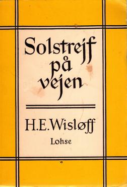 Solstrejf på vejen