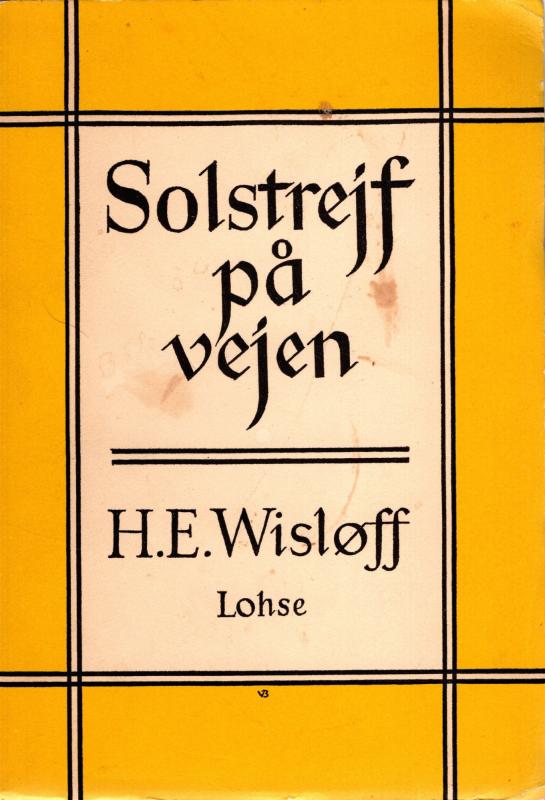 Solstrejf på vejen