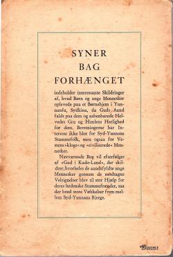 Syner bag forhænget