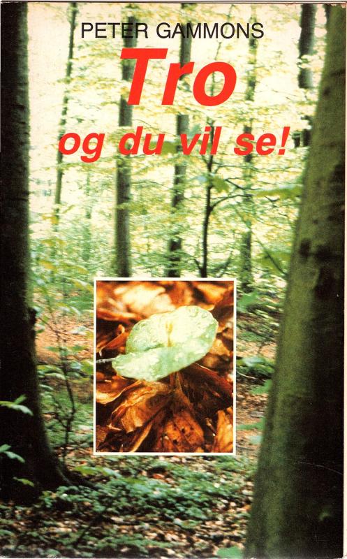 Tro og du vil se