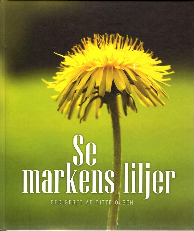 Se markens liljer