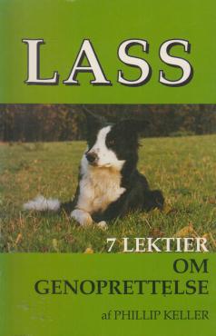 Lass, 7 lektioner om genoprettelse