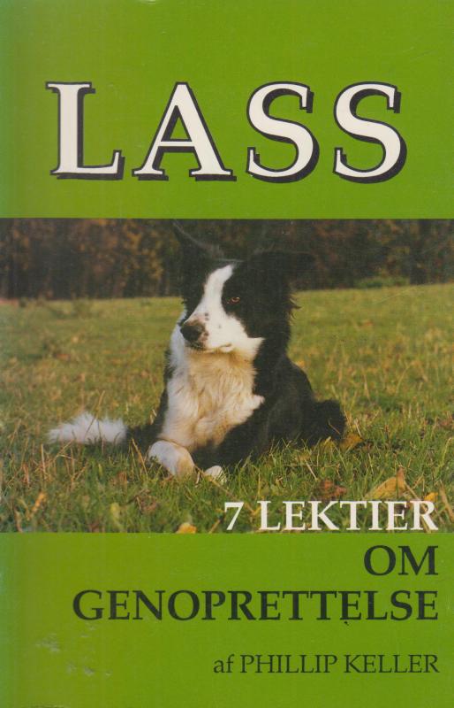 Lass, 7 lektioner om genoprettelse