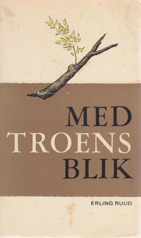 Med troens blik