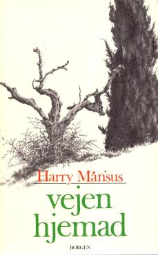 Vejen hjemad
