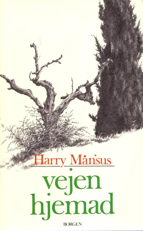 Vejen hjemad