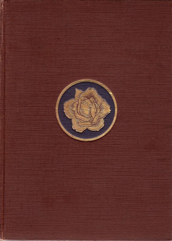 Den yndigste rose