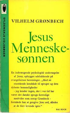 Jesus, Menneskesønnen
