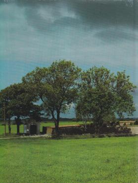 Kirkerne i Danmark (2 bind)
