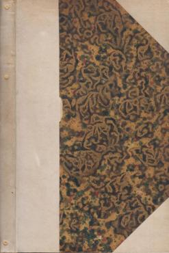 Thyco Braches Spaadom (1819)