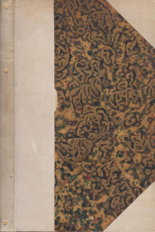 Thyco Braches Spaadom (1819)