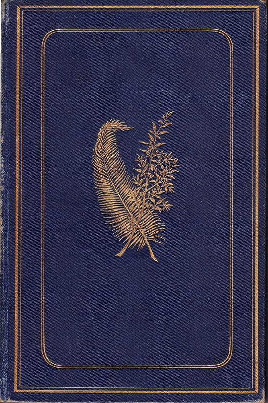 Det Hellige Land, 1889