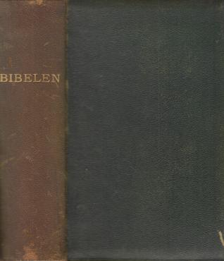 Bibelen med De Apokryfiske Skrifter (1902) ¤