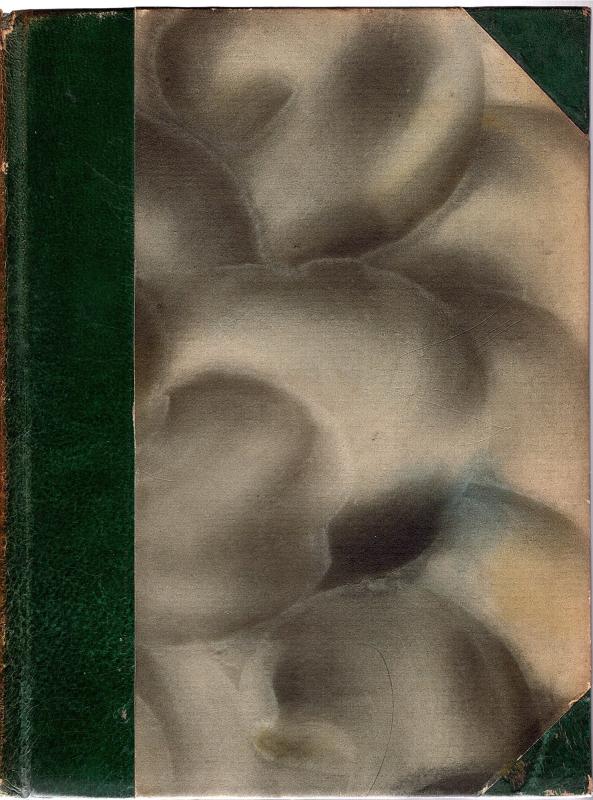 Fra Grønbøk Præstegaard, af mit hjems historie, 1921