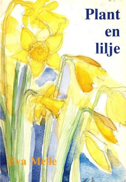 Plant en lilje