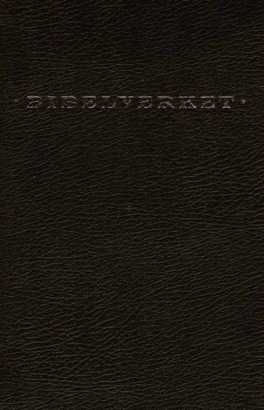 Bibelverket - Apostelgjerningerne