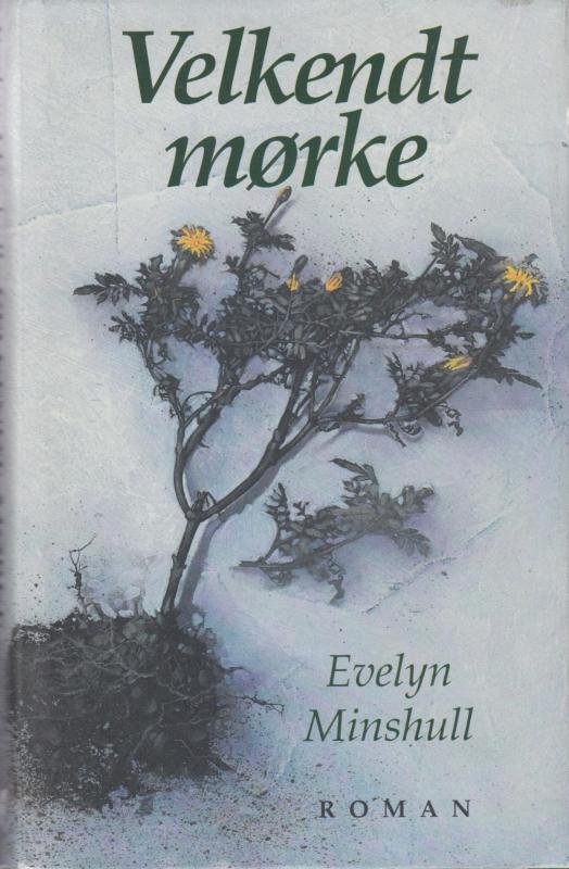 Velkendt mørke