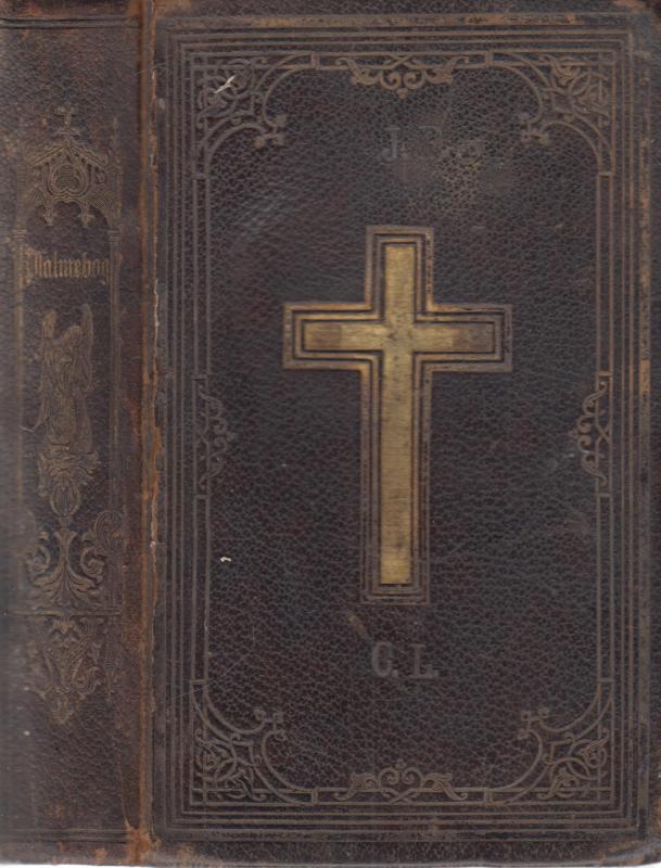 Den Pontoppidanske Psalme-bog, tillige med den nye Psalme-bog (1874)