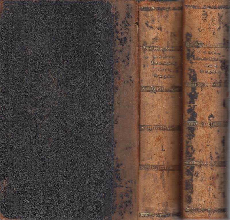 Hemmeligheder i lov og evangelium (bind 1-2) (1895)