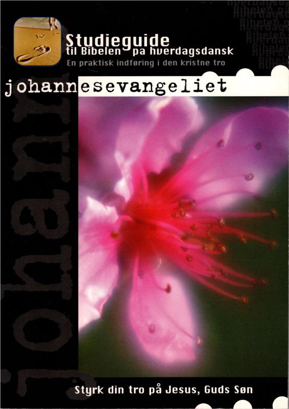 Studieguide til Bibelen på hverdags dansk - Johannesevangeliet