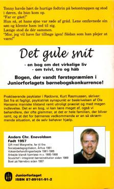 Det gule snit