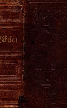 Bibelen (1874) ¤