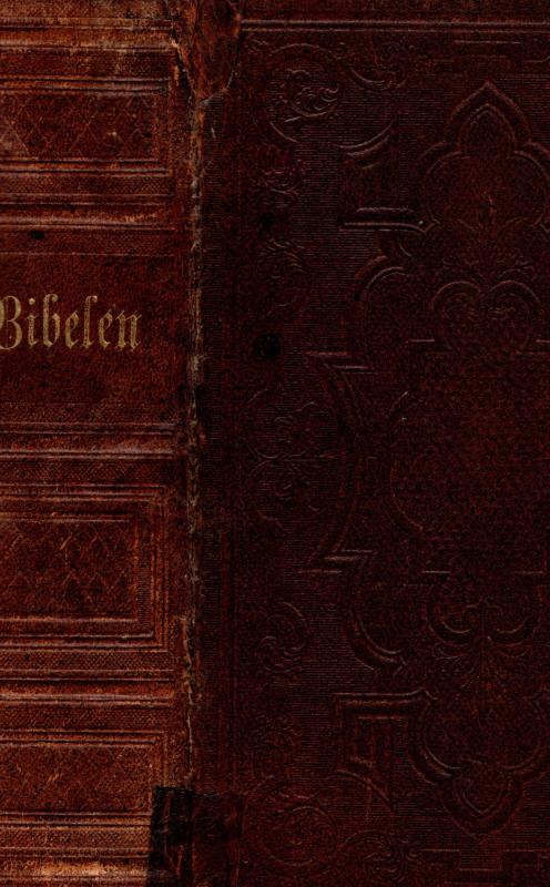 Bibelen (1874) ¤