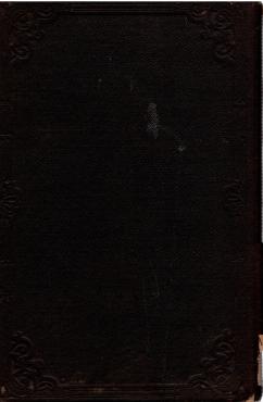 Tolv prædikener (1869) ¤