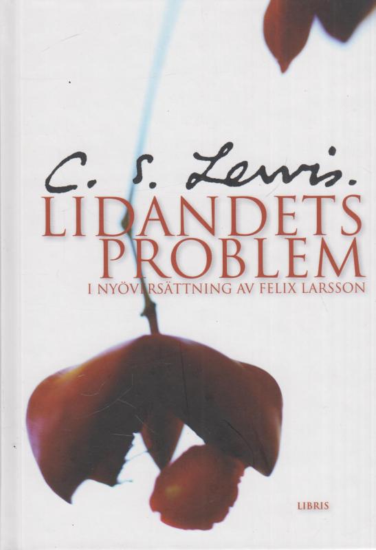 Lidandets problem (som ny)