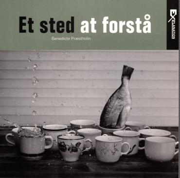 Et sted at forstå (som ny)