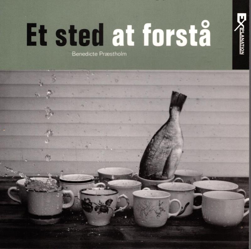 Et sted at forstå (som ny)