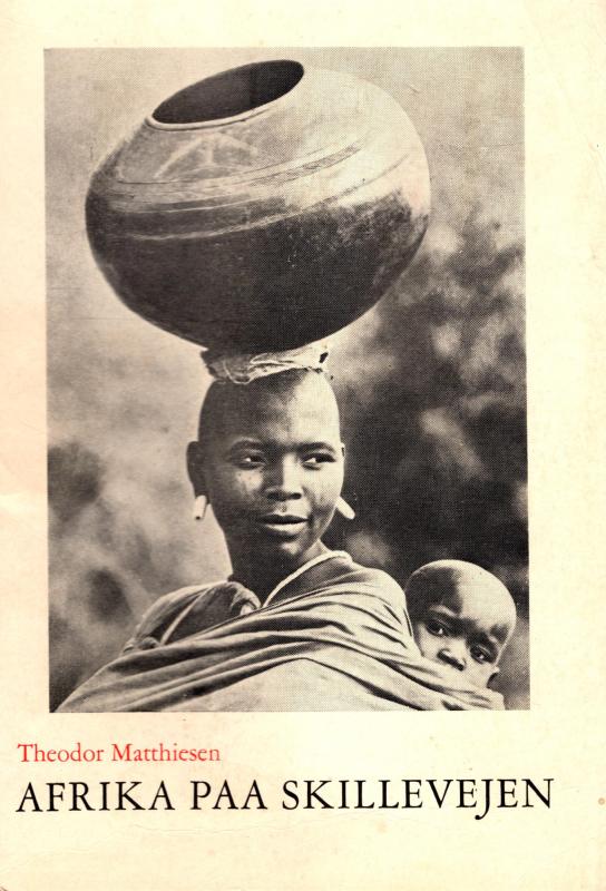 Afrika på skillevejen