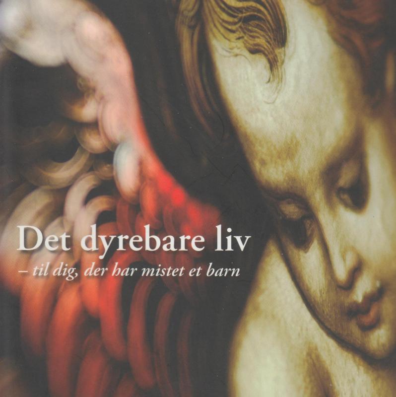 Det dyrebare liv (som ny)