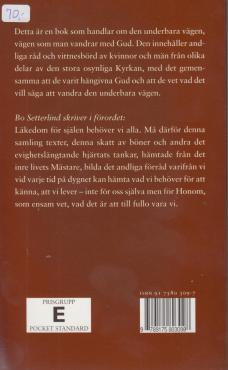 Den underbara vägen (som ny)