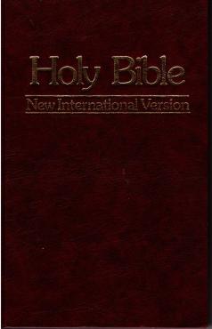 Holy Bible New International Version