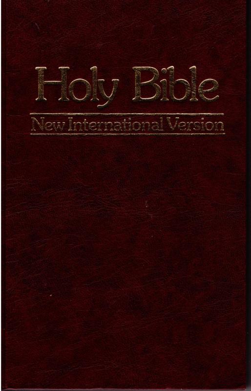 Holy Bible New International Version