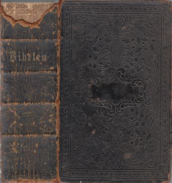Bibelen eller Den hellige Skrift (1854)v