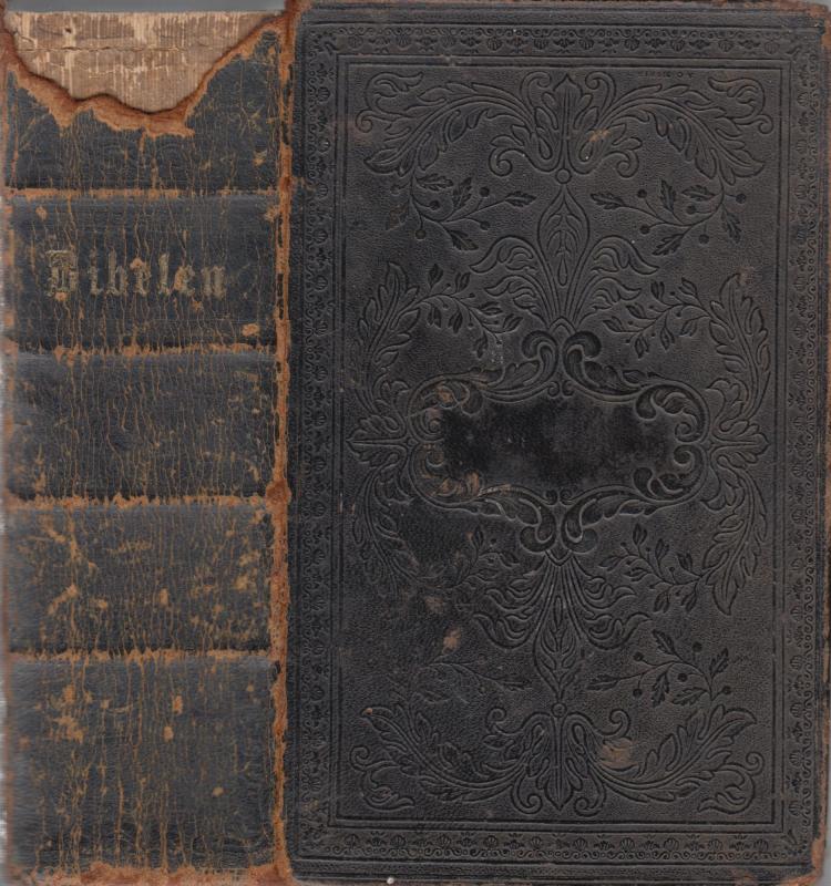 Bibelen eller Den hellige Skrift (1854)v
