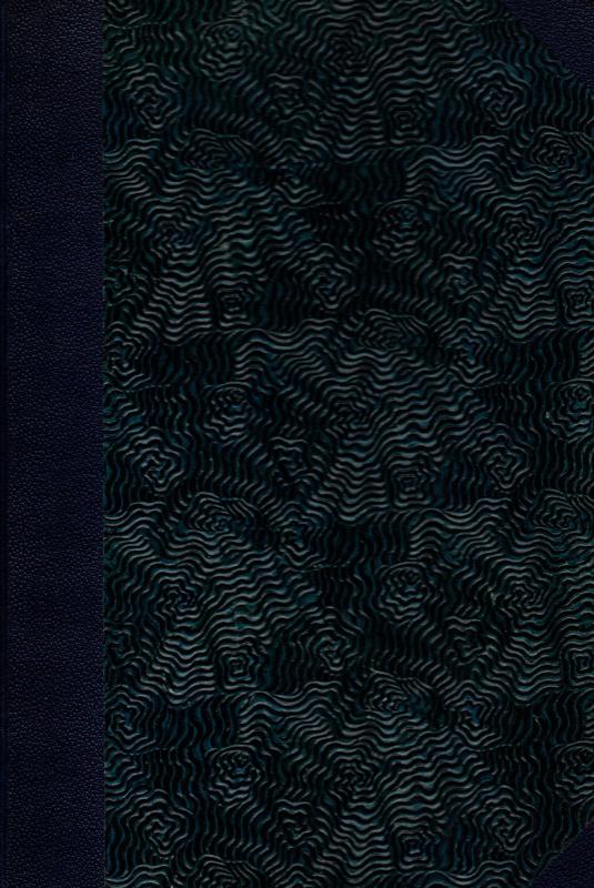 Salmerne