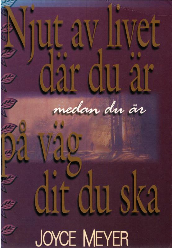 Njut av livet där du är medan du är på väg dit du ska
