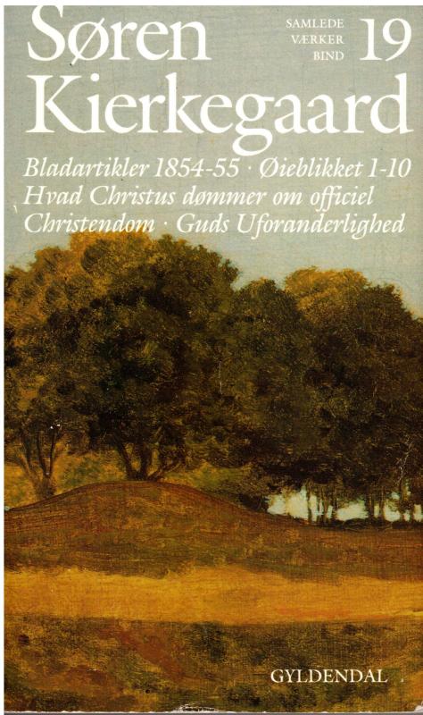 Søren Kierkegaard Samlede værker (Bind 19)