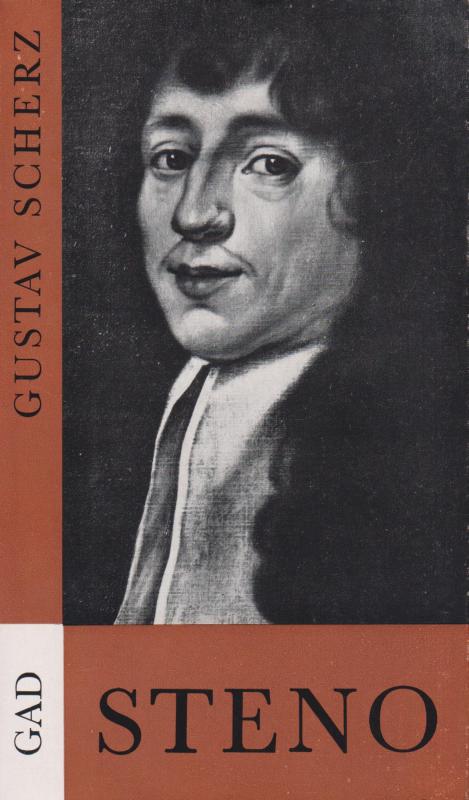 Steno, Niels Stensen